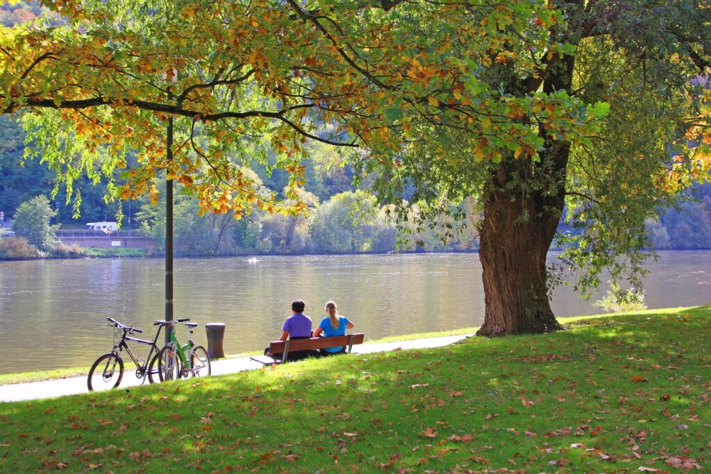 Cykla i Moseldalen